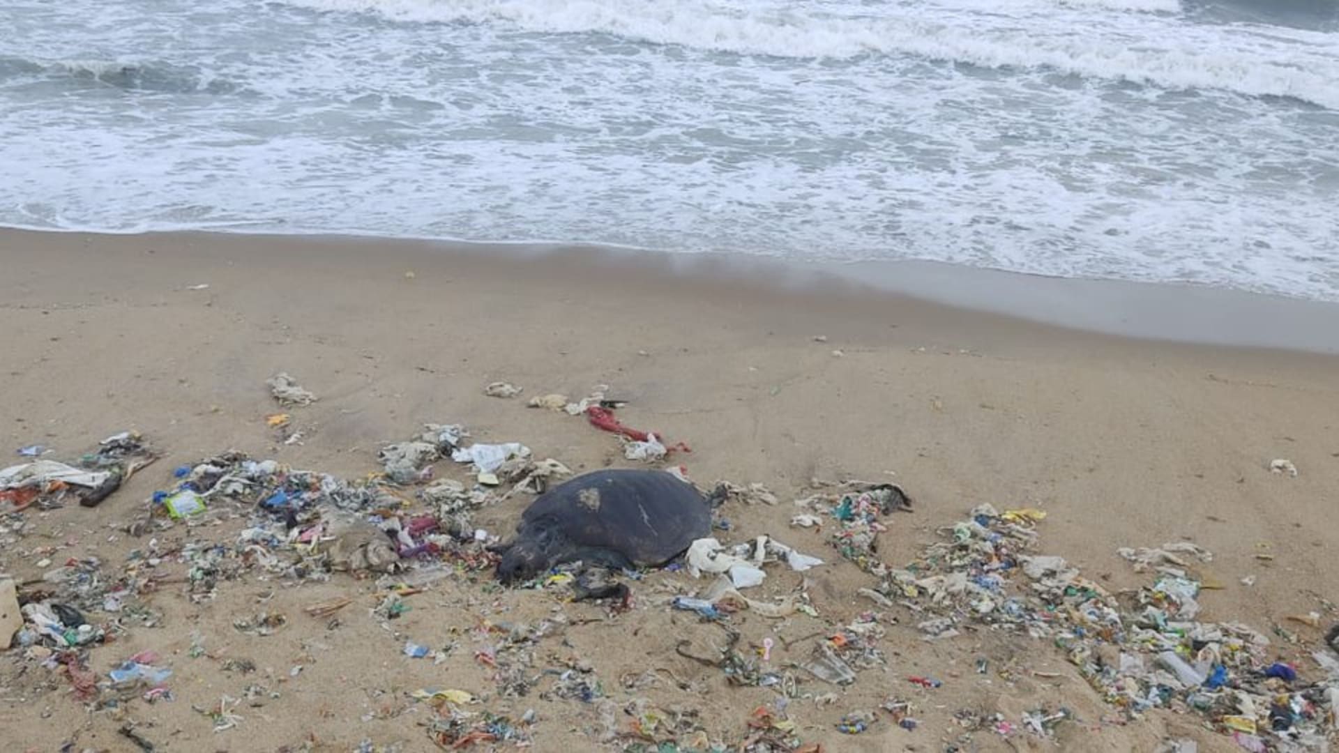 Kovalam beach strewn with plastic and waste, contrasting sharply with its nearby Blue Flag-certified stretch