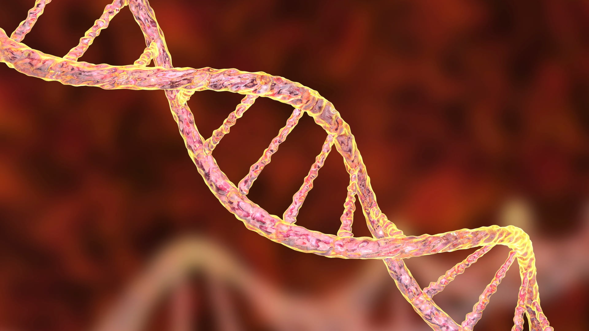 Archaea repurpose TAG stop codon to encode pyrrolysine, creating a 21-amino-acid genetic code