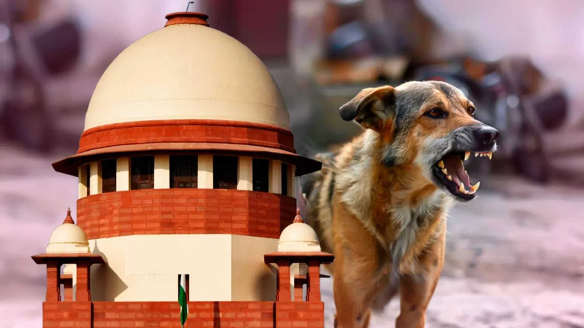 “Supreme Court addresses stray dog menace, accountability, public safety concerns.”