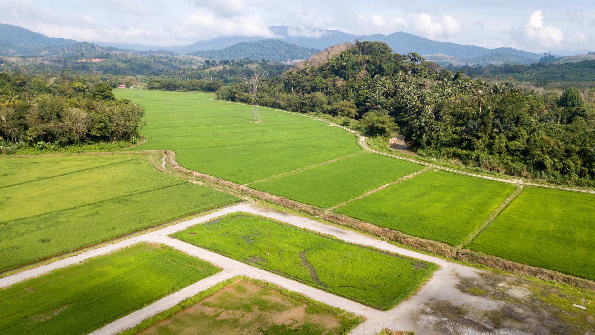 Metro stations raise land values, public must reclaim generated wealth