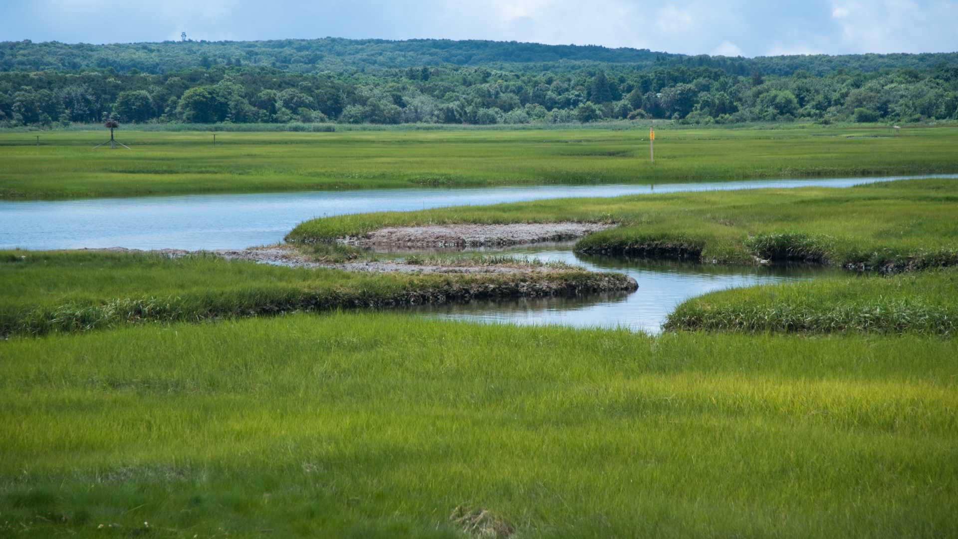 40% of India’s wetlands lost in 30 years: urgent reforms needed
