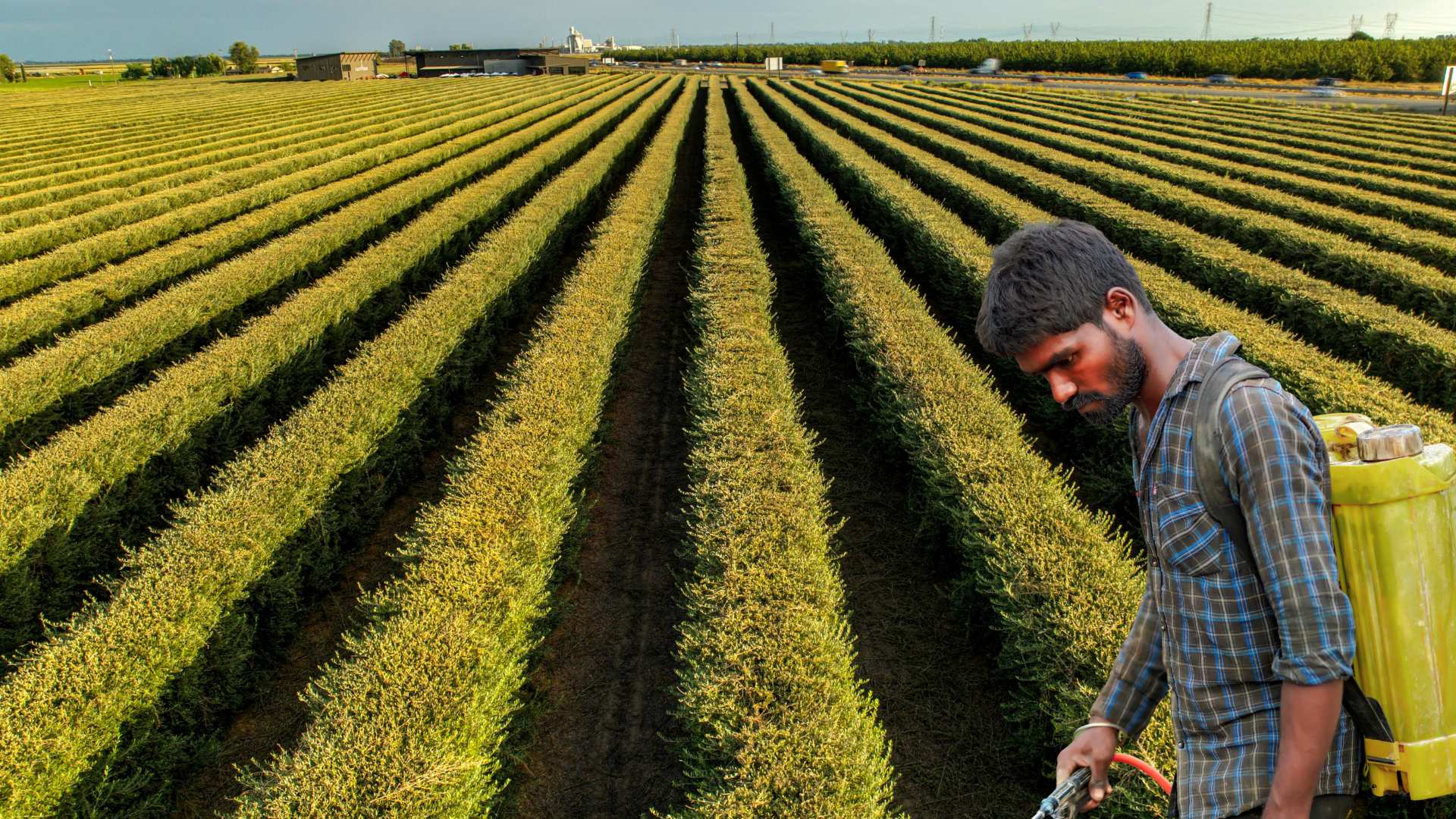 Experts debate India’s future as food factory