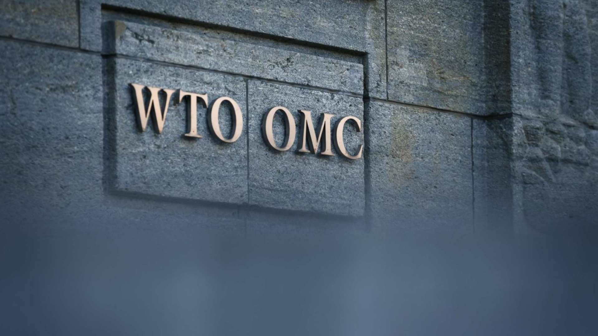 WTO reforms dominate agenda ahead of MC14