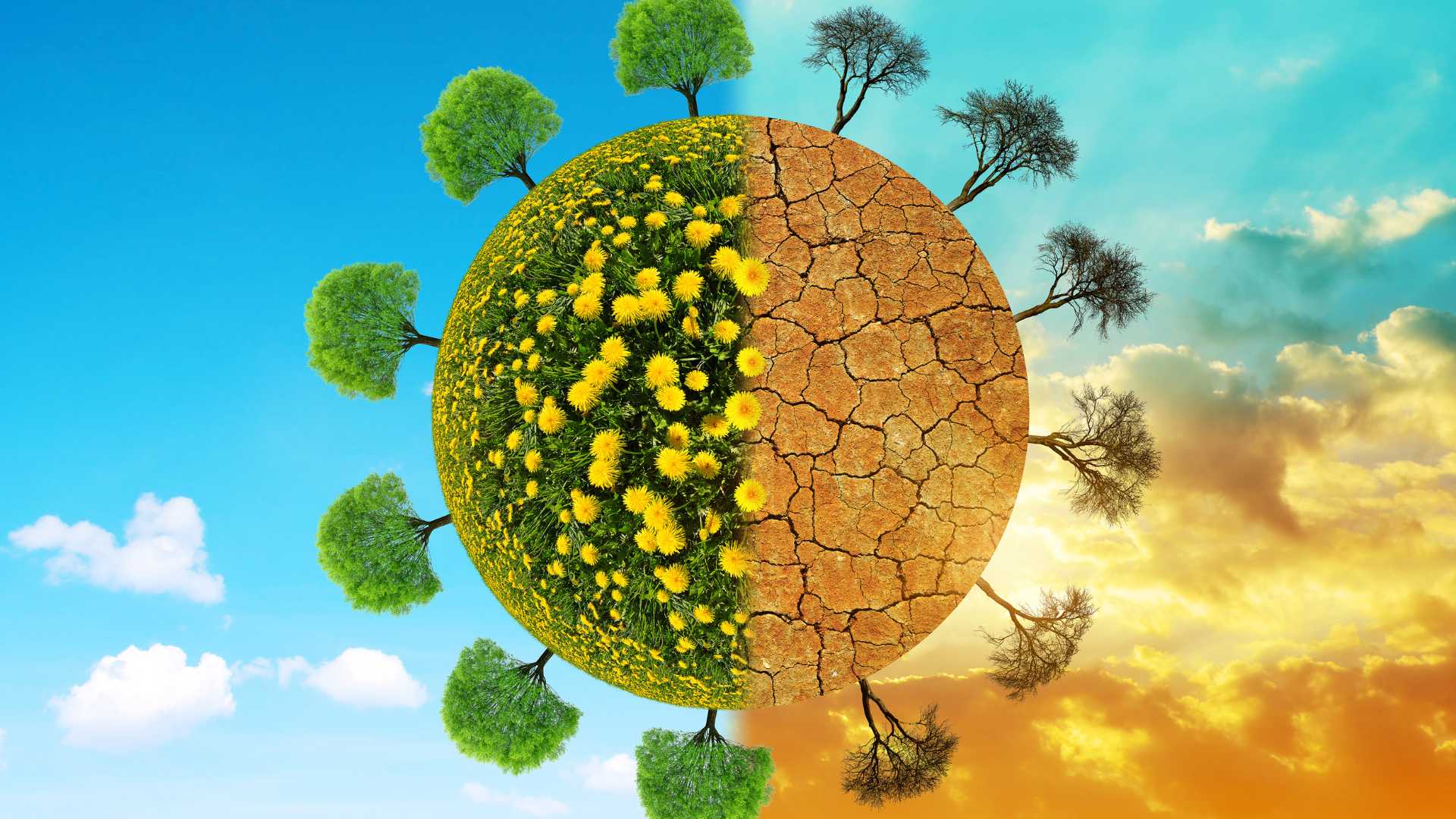 Climate Change and the Need to Reform International Law