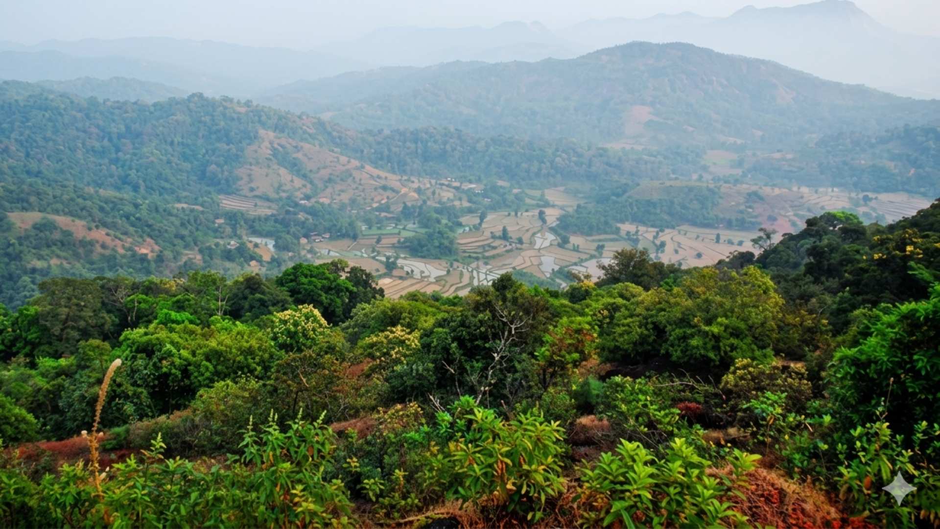 Sharavathi project halted amid environmental concerns