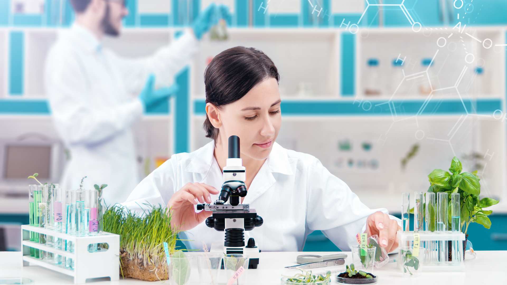 Subsidies rise, farm research lags, productivity suffers