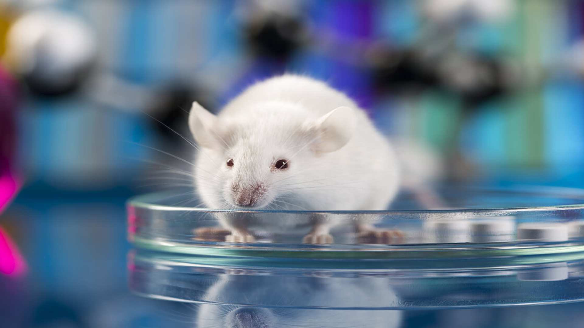 Biologics shift beyond animal testing paradigms