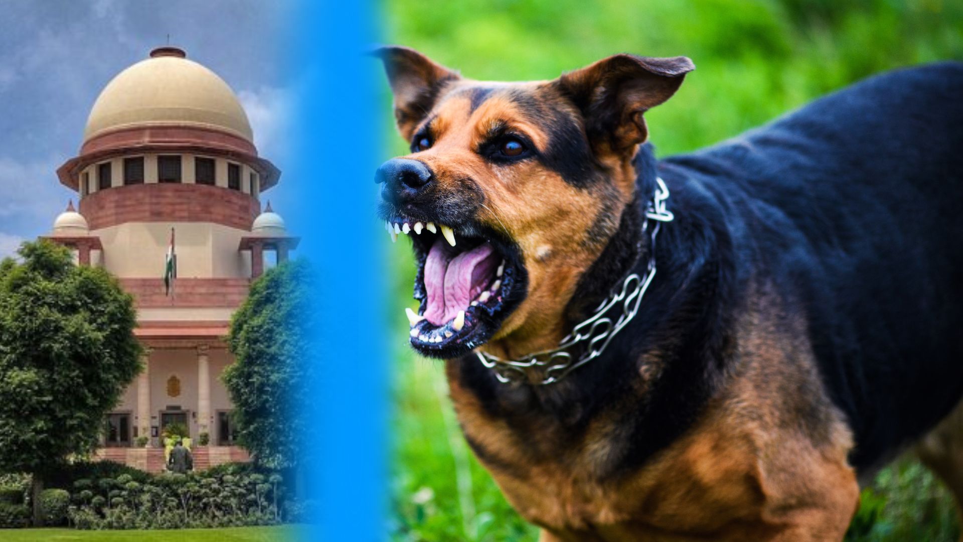 GS2 → Indian Constitution Stray Dogs, Public Safety and the Law: Supreme Court Strikes a Constitutional Balance May 20, 2026 •The Hindu